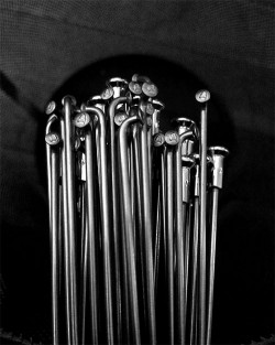 Küllő Alpina rozsdamentes ezüst Ø2mm 286 mm